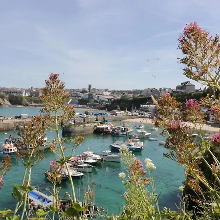 4 Trevanson Mews Newquay (Cornwall)